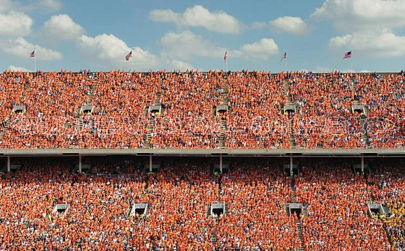 人人体育手机版宣亚国际<探访法国黑人足球运动员与养母的温馨故事>