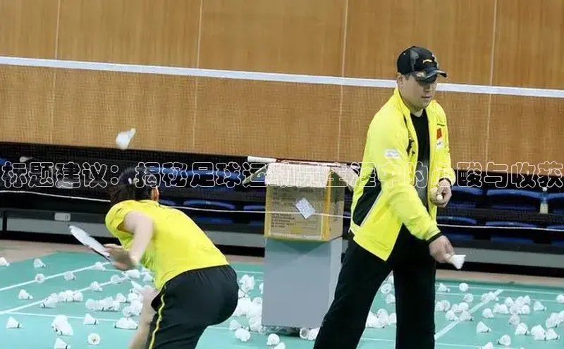 人人体育手机版顺丰标题建议：揭秘足球运动员生涯中的心酸与收获