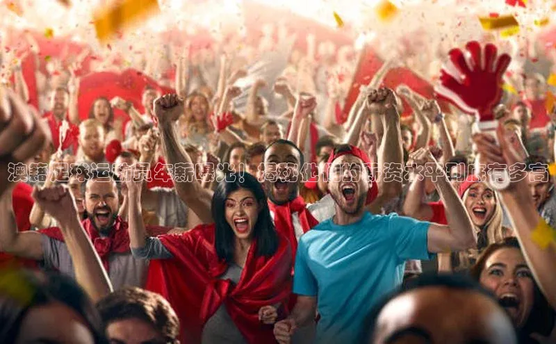 人人体育直播篮球华扬联众澳籍足球运动员年薪曝光！揭秘他们的薪资水平到底有多高