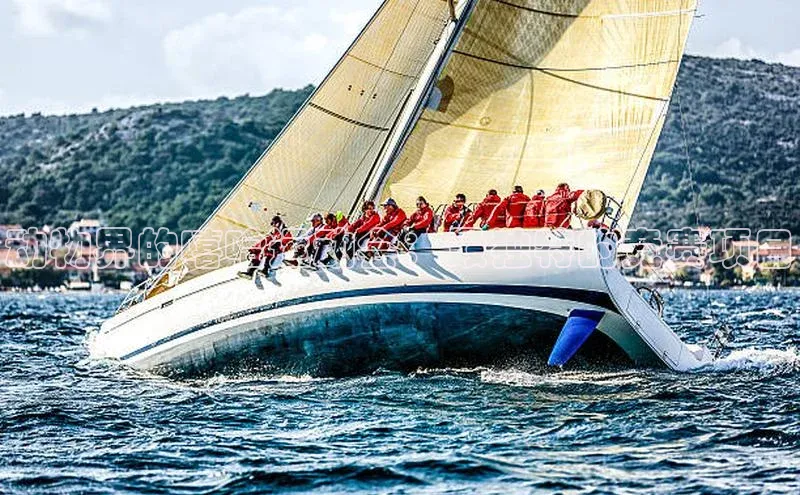 动物界的嘻哈运动会：最独特的竞赛项目