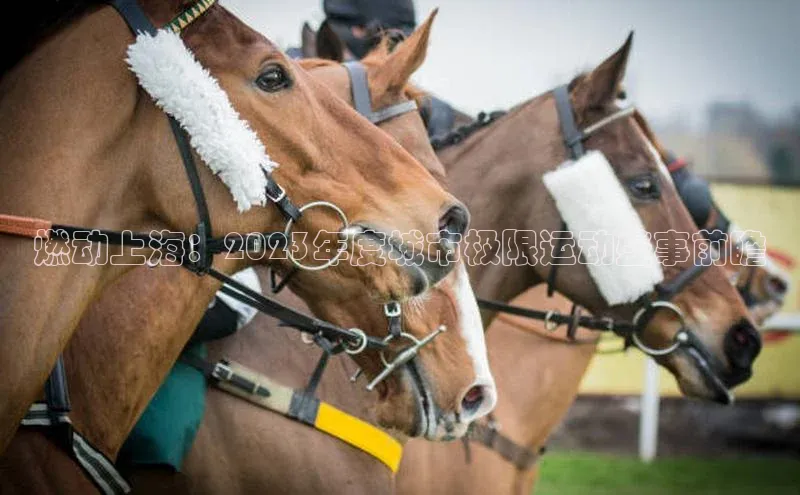 燃动上海：2023年度城市极限运动盛事前瞻