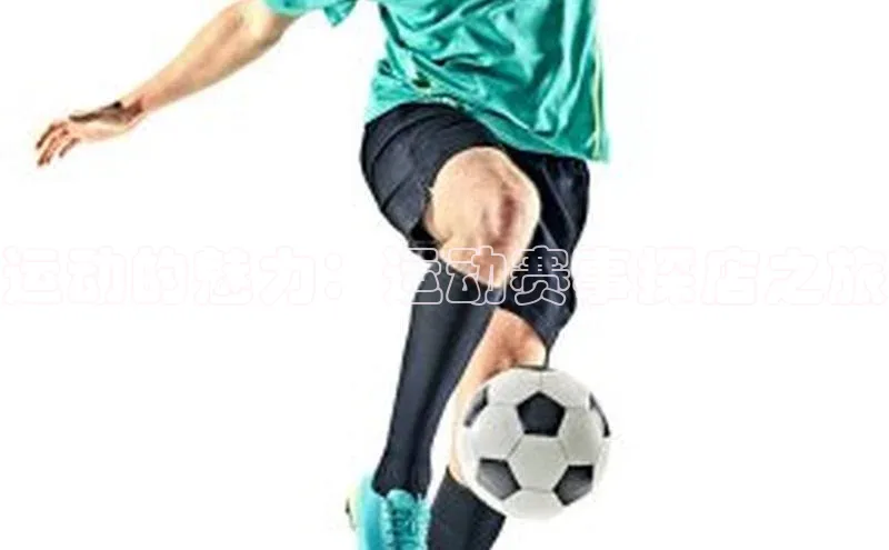 运动的魅力：运动赛事探店之旅