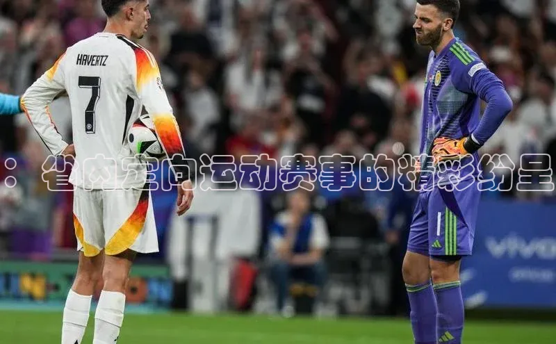 ：省内定向运动赛事的精彩纷呈