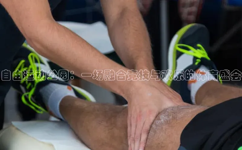 自由运动公园：一场融合竞技与欢乐的体育盛会