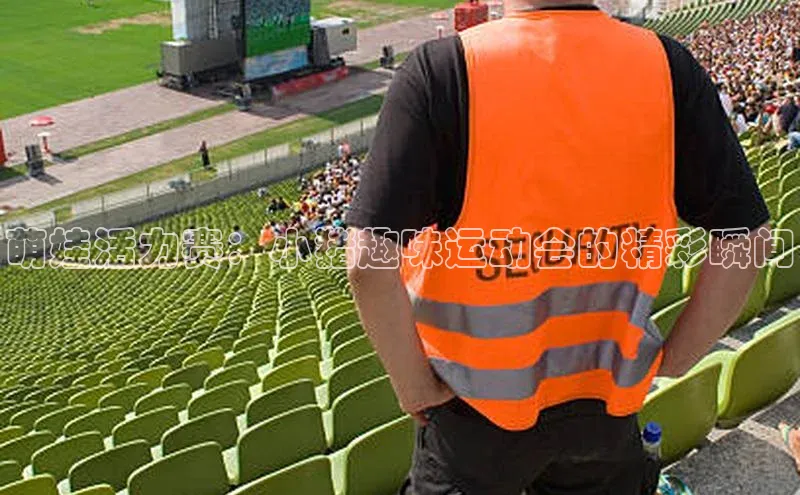 萌娃活力赛：小猪趣味运动会的精彩瞬间