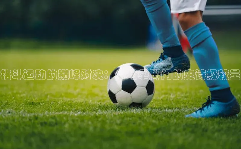 格斗运动的巅峰对决：一场拳脚间的史诗级较量