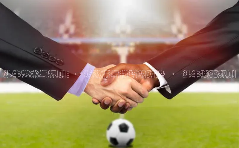 斗牛艺术与规则：一场激情与技巧的对决——斗牛赛事规则
