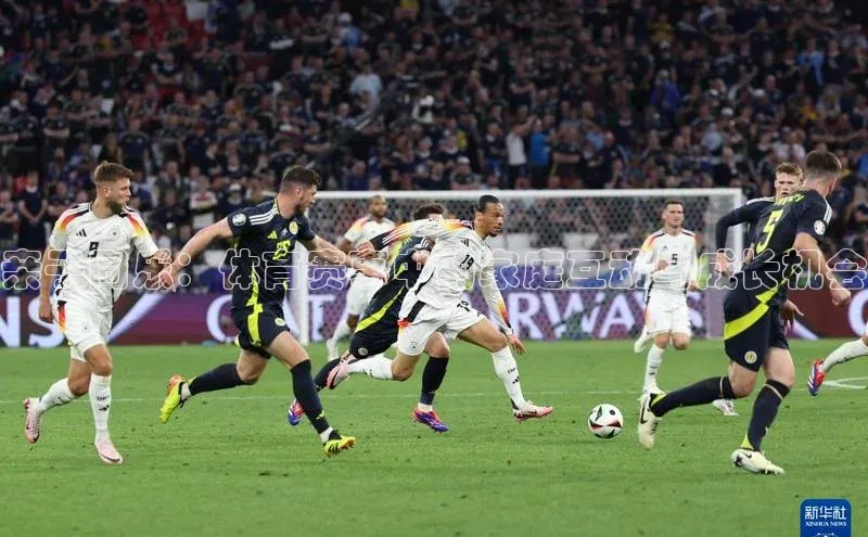 亲子同乐：体育赛事中的家庭互动与成长机会