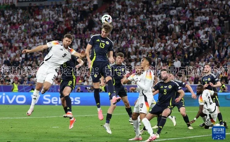 运动类赛事排名榜单：引领潮流的力量与趋势分析