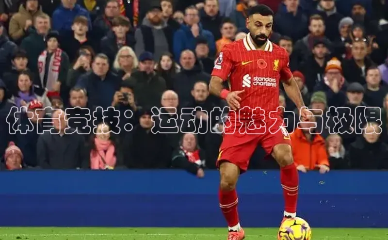 人人看球app下载