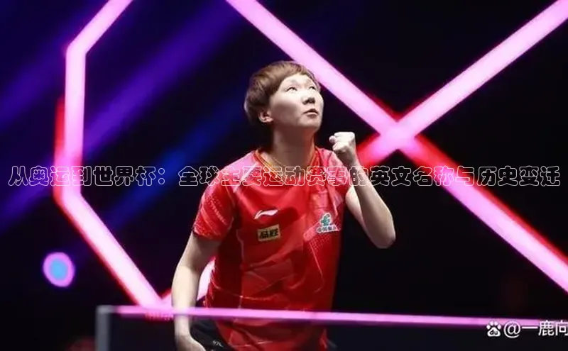 人人体育直播篮球