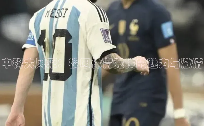 人人体育安卓下载