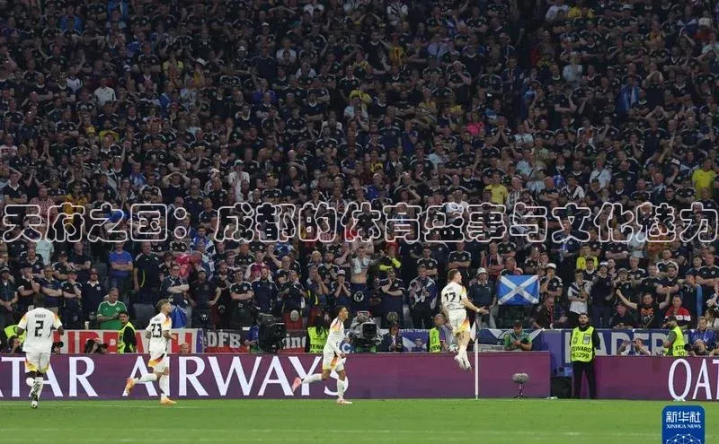 人人看球app下载