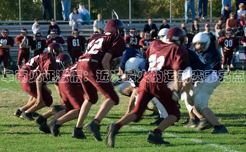 阜南见证激情：近况最火的运动赛事亮点