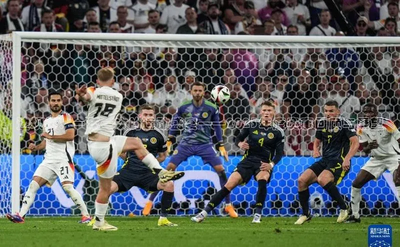 人人体育直播篮球